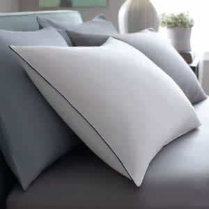 product image of the Pacific Coast Feather Best Pillow