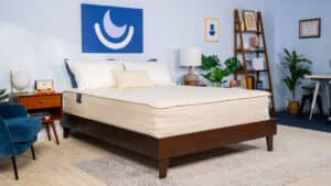 Best Mattress for Back Pain in 2024 (Doctor Recommended)