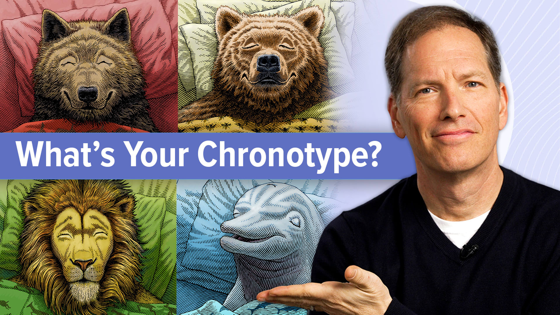 Chronoquiz: What's Your Chronotype?