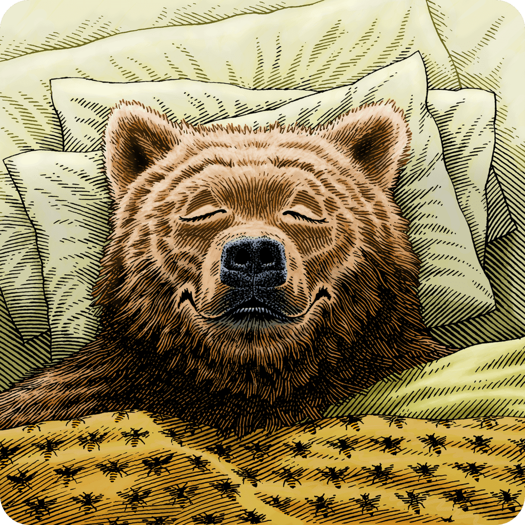 Sleeping bear