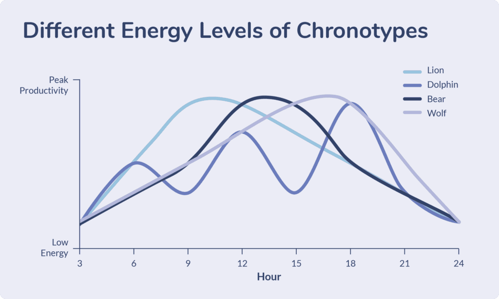 Graph of each chronotypes varying energy levels.