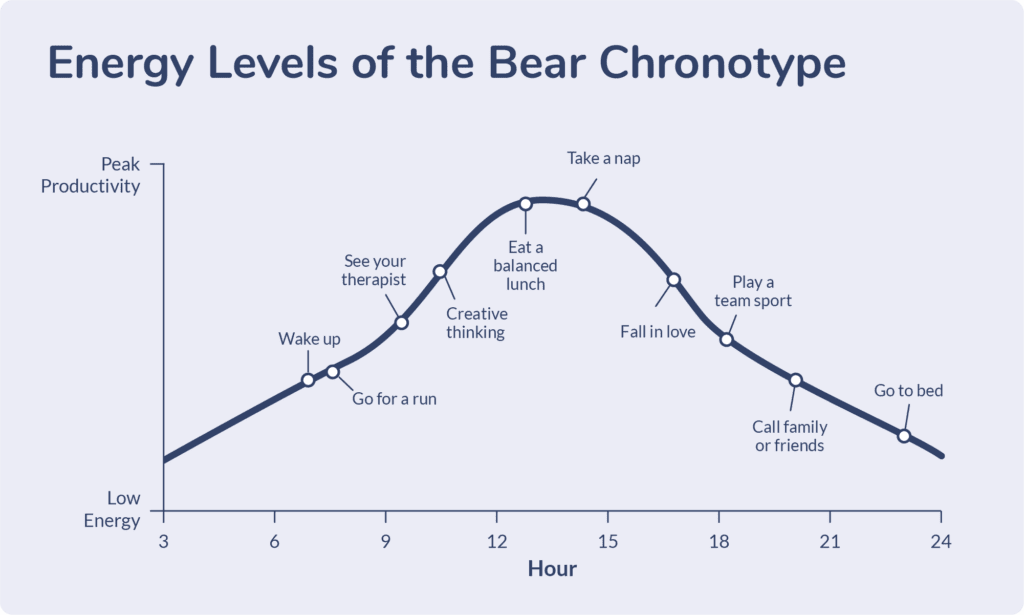 Graph showing Bear energy levels rise midday