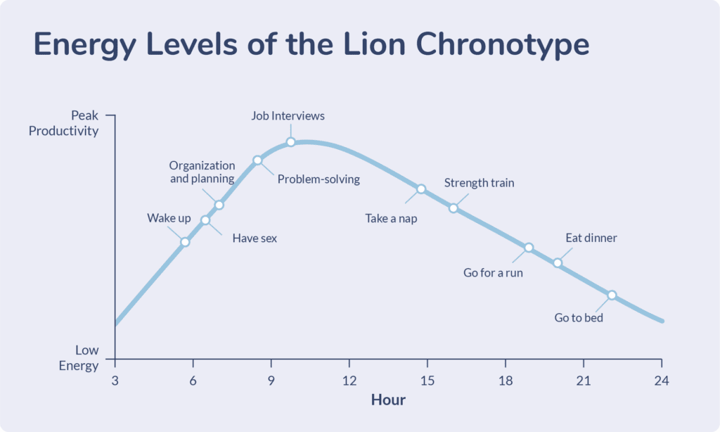 Graph showing lion energy is highest in the morning