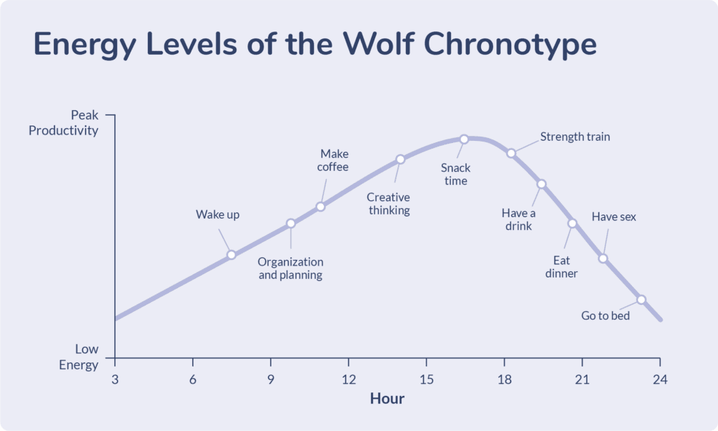 Graph showing Wolf energy levels rising in the evening