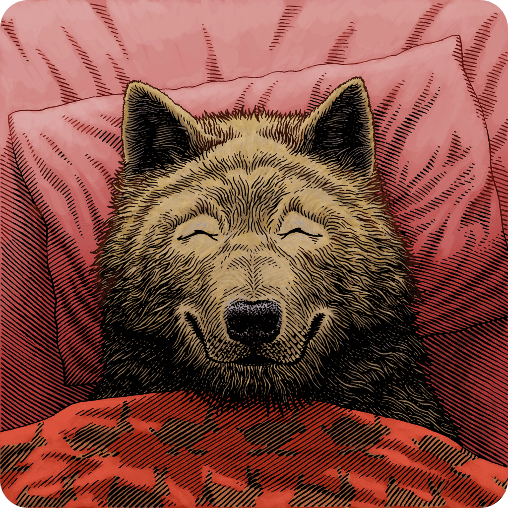 Wolf happily sleeping